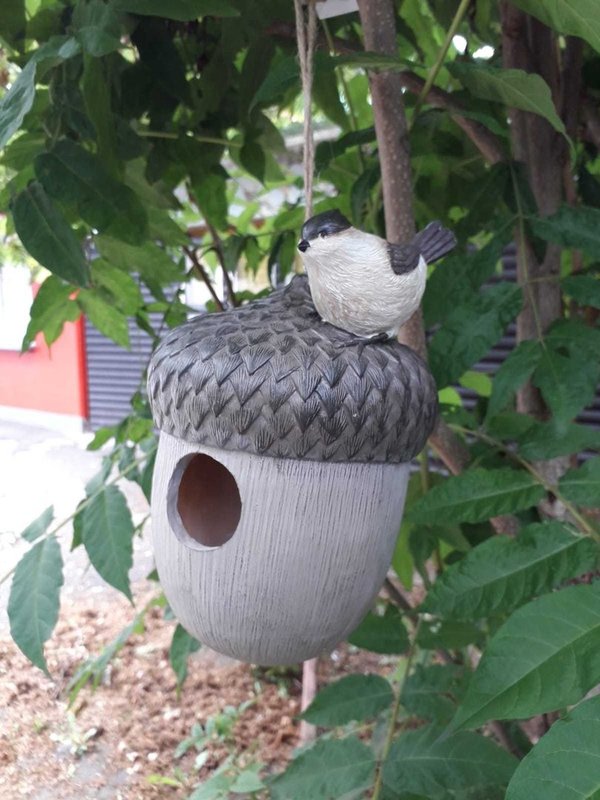 Vogel Haus, Nest, Brutkasten